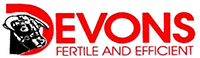 Devon Cattle