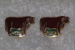 Devon Badges